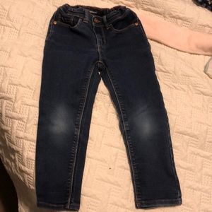 Jordache toddler jeans